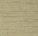 Tejon