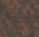 Citrus Oasis