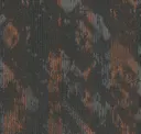 Citrus Oasis