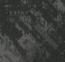 Carbon Path