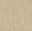 Sand Dune