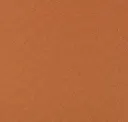 Cinnamon