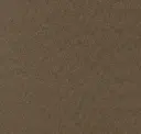 Cocoa