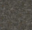 Enrapture