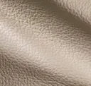 Pebble