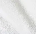 Swan White