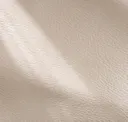 Silver Lining