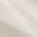Polar