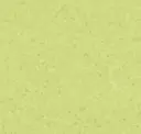 Acacia