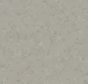 Pebble