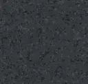 Black Diamond