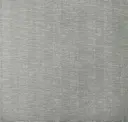 Ash Gray