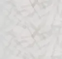 Here Comes The White