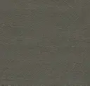 Shadow