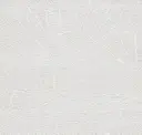 Optic White