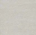 White Wash