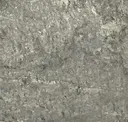Silver Shine