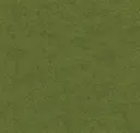 Field