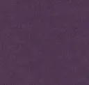 Aubergine