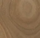 Spotted Gum
