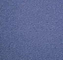 Calypso