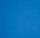 Electric Blue