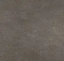 Nut