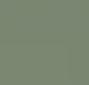 Reef Green