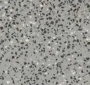 Stonehedge