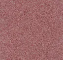 Cranberry