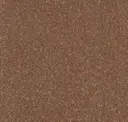 Acorn
