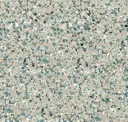 Silver Sage