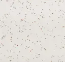 Snowstorm