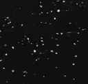 Starry Night