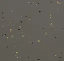Camouflage Green