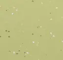 Pistachio