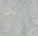 Dove Grey