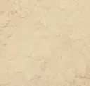 Calico