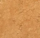 Sahara
