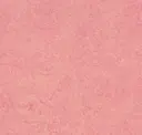 Honey Suckle