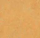 Golden Saffron