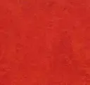 Scarlet