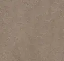 Shrike