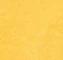 Lemon Zest