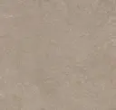 Sparrow