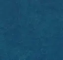 Marine