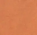 African Desert