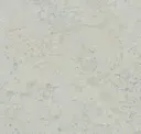 Seashell
