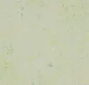 Salsa Verde