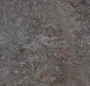 Oyster Mountain